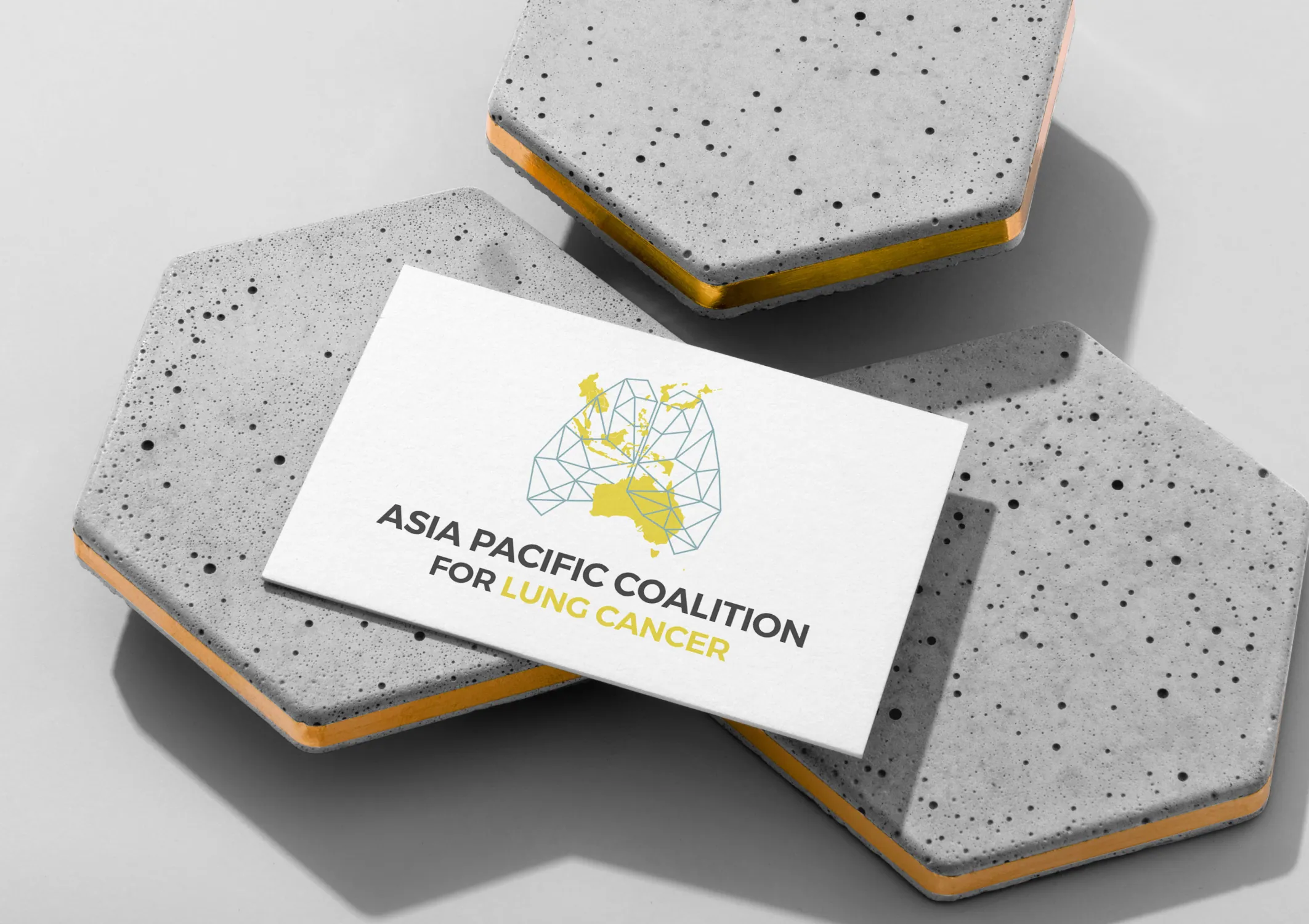 Asia Pacific Coalition for Lung Cancer brand identity 2
